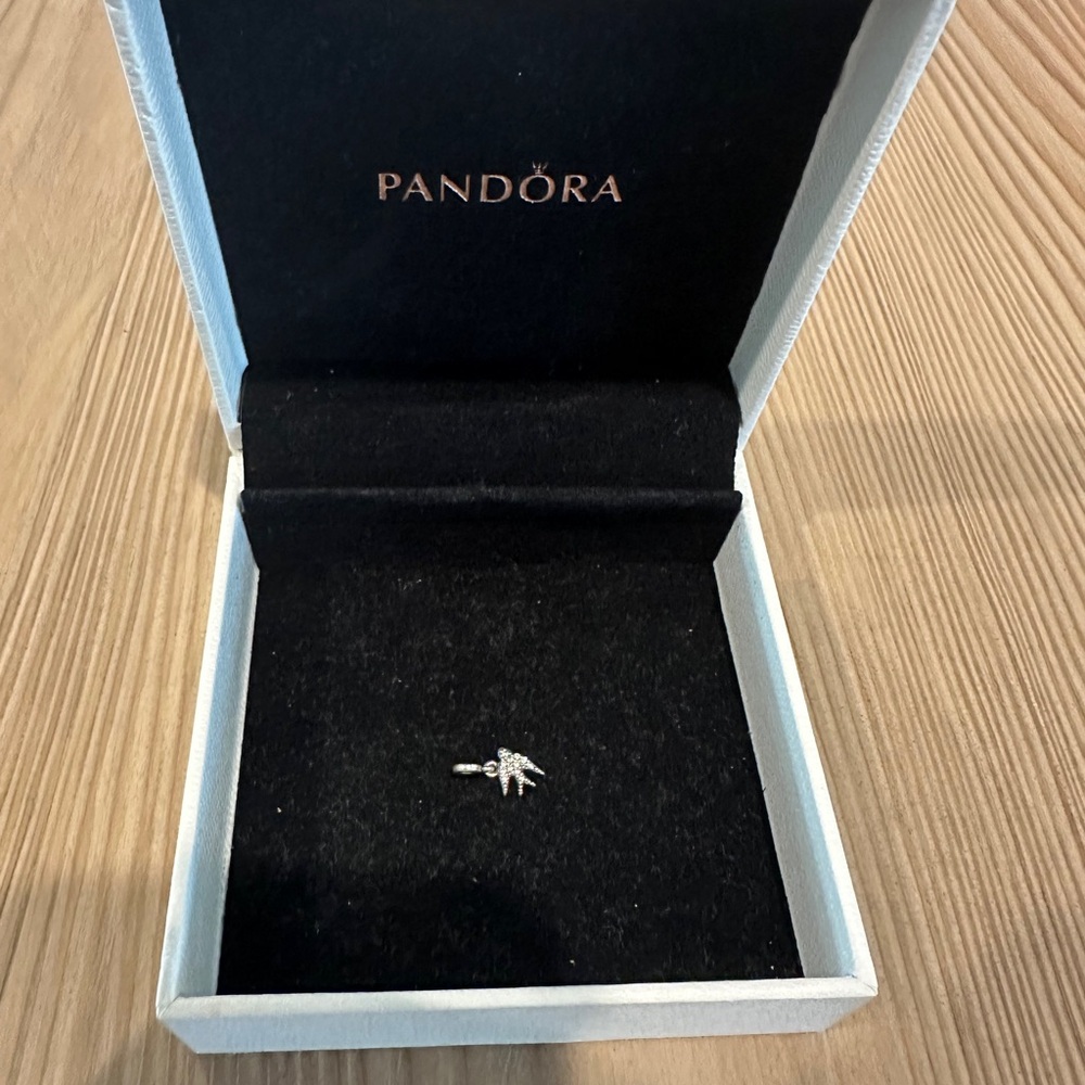 Pandora Silver charm with Sparkling Accents